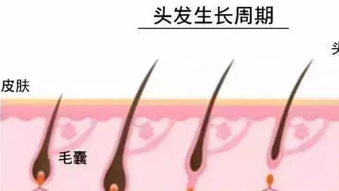 徐州市中心醫(yī)院整形美容科的醫(yī)生介紹及鼻子手術(shù)費用如何？