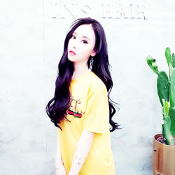 龍少藝
