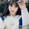 柴俊材