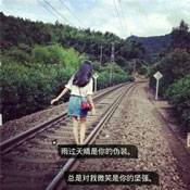 蒲枧