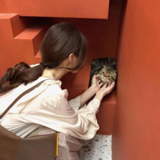 苑逸華