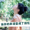 聶潤城
