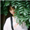 雍轉(zhuǎn)