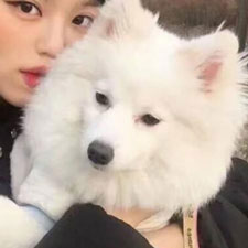 莊子揚