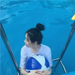 毛菲