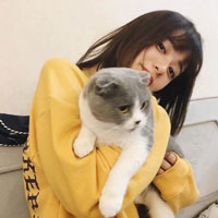 史芝朵