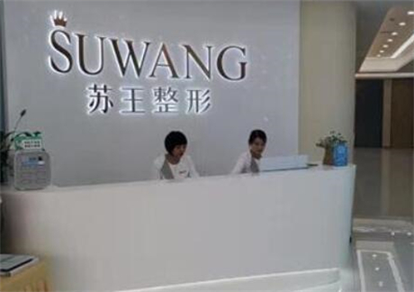 南京蘇王