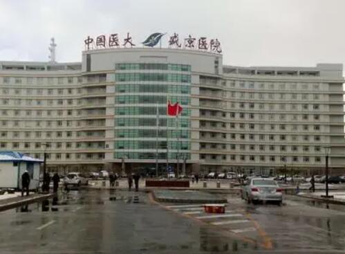 沈陽盛京醫(yī)院整形科