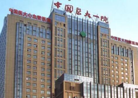 中國醫(yī)科大學(xué)附屬第一醫(yī)院(中國醫(yī)大一院)整形外科 中國醫(yī)科大學(xué)附屬第一醫(yī)院(中國醫(yī)大一院)整形外科
