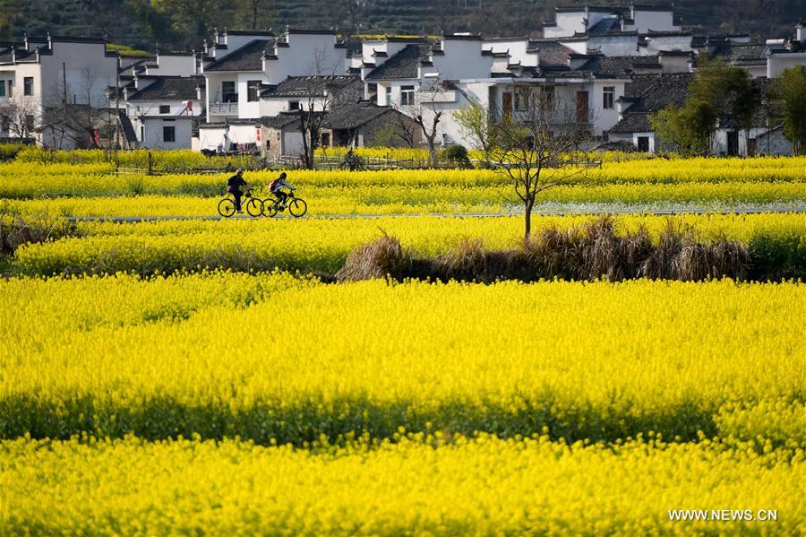 CHINA-ENVIRONMENT-ECOLOGICAL CIVILIZATION CONSTRUCTION (CN)