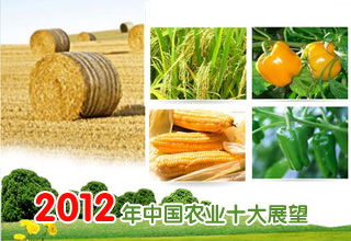 2012年中國(guó)農(nóng)業(yè)十大展望