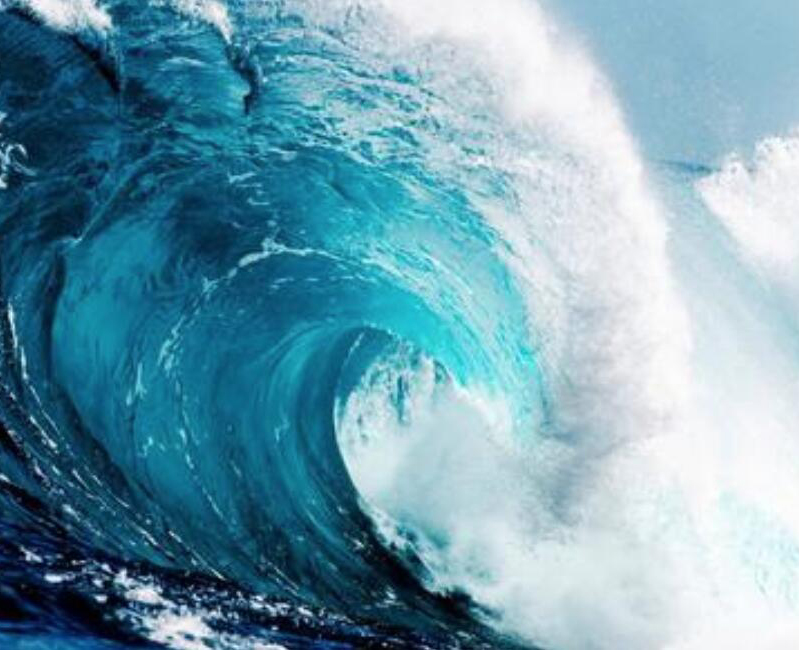 【財經(jīng)翻譯官】浪奔、浪流