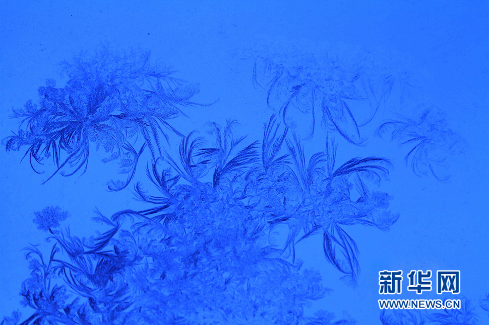 忽如一夜寒冬來，千家萬戶窗花開