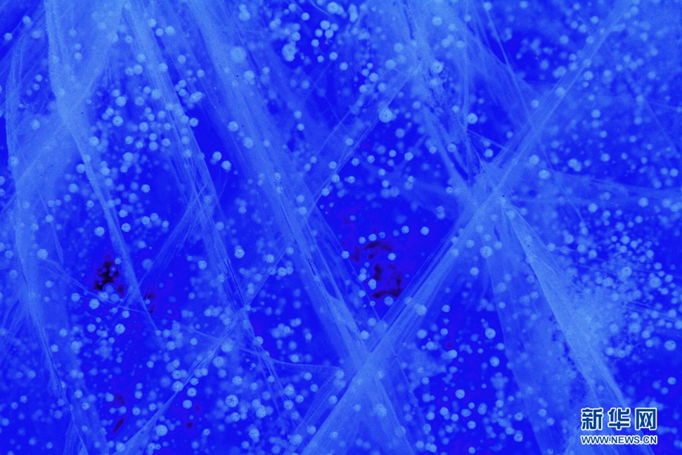 氣泡冰亮晶晶，藍(lán)精靈賽繁星