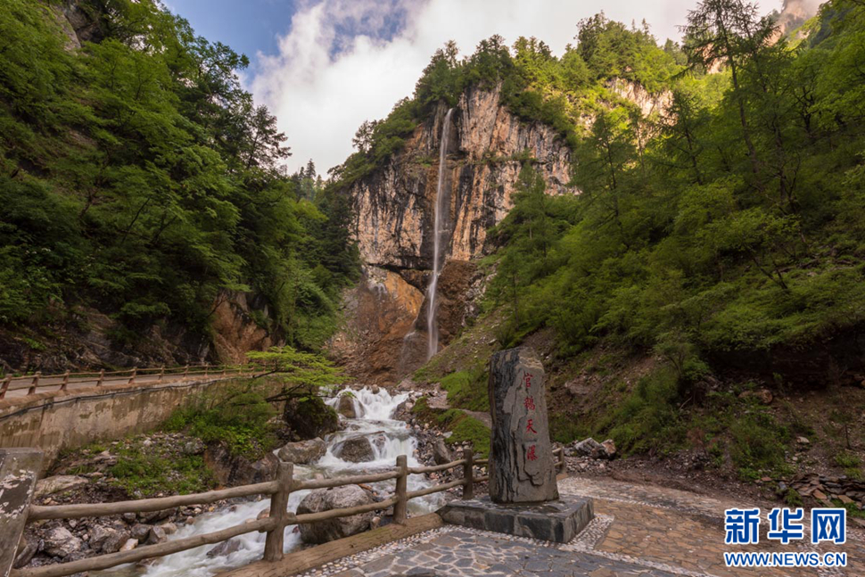重崖森迥瀑飛先，鵝溝炎夏水風涼