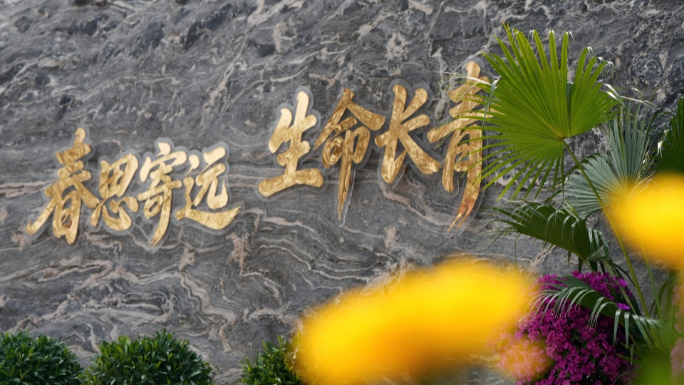 新華網(wǎng)民生觀察丨生態(tài)安葬，從被動(dòng)接受到主動(dòng)預(yù)約