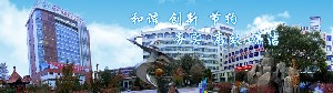喀什地區(qū)第一人民醫(yī)院硅膠墊下巴價(jià)格如何？效果如何？