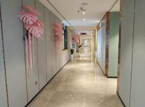 保定藍山醫(yī)療美容醫(yī)院做自體脂肪豐胸怎么樣？
