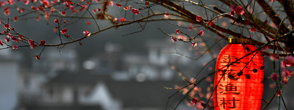 春來(lái)花開(kāi)，綻放正當(dāng)時(shí)