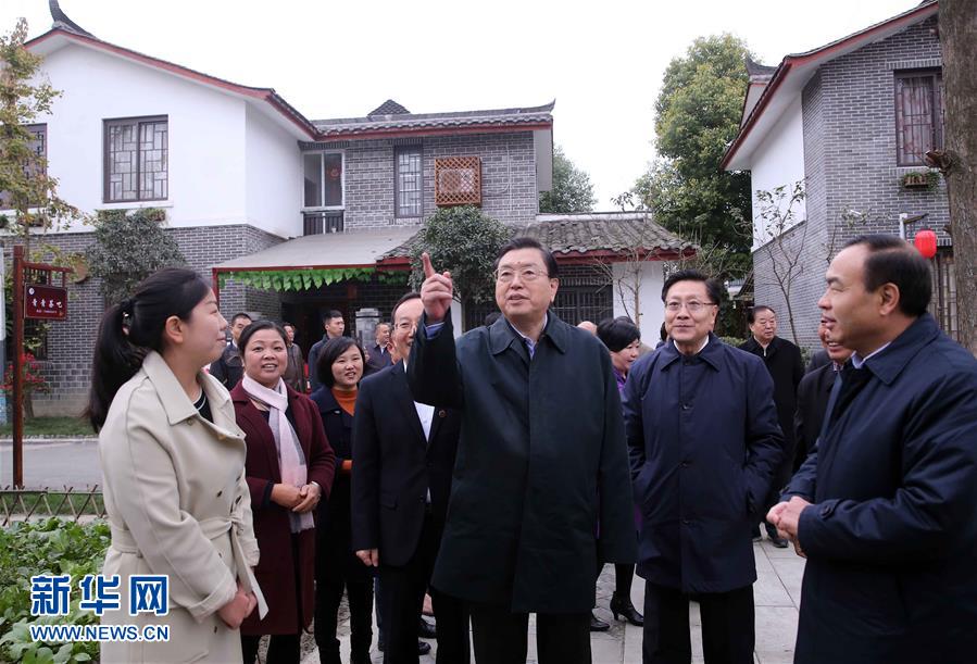 這是11月22日，張德江來到成都郫縣青杠樹村，了解村民委員會(huì)工作情況。 新華社記者 劉衛(wèi)兵 攝 
