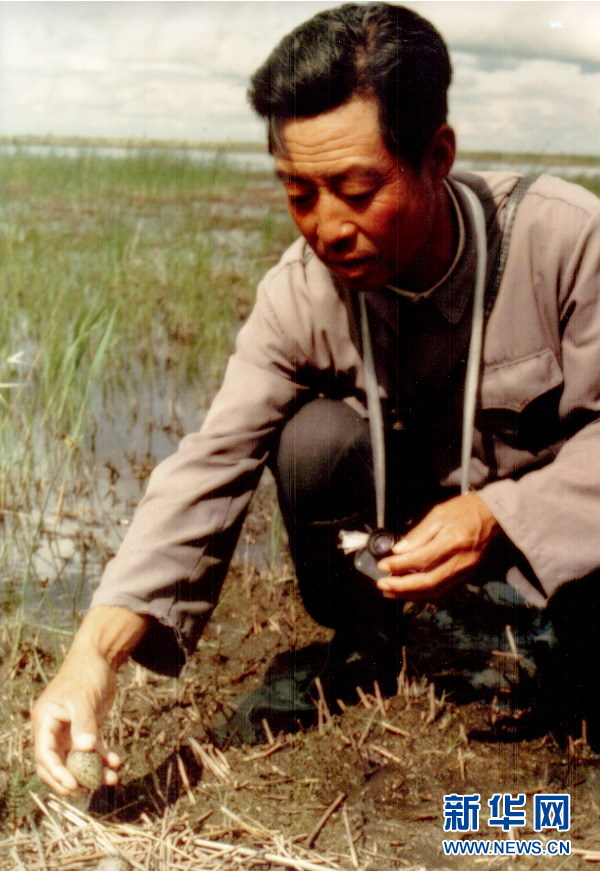 （圖文互動&middot;新華全媒頭條）（4）一家人與一群鶴的生死相守
