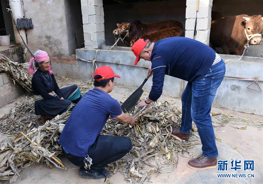 （社會(huì)）（6）云南尋甸：脫貧攻堅(jiān)中的&ldquo;小紅帽&rdquo;幫扶隊(duì)