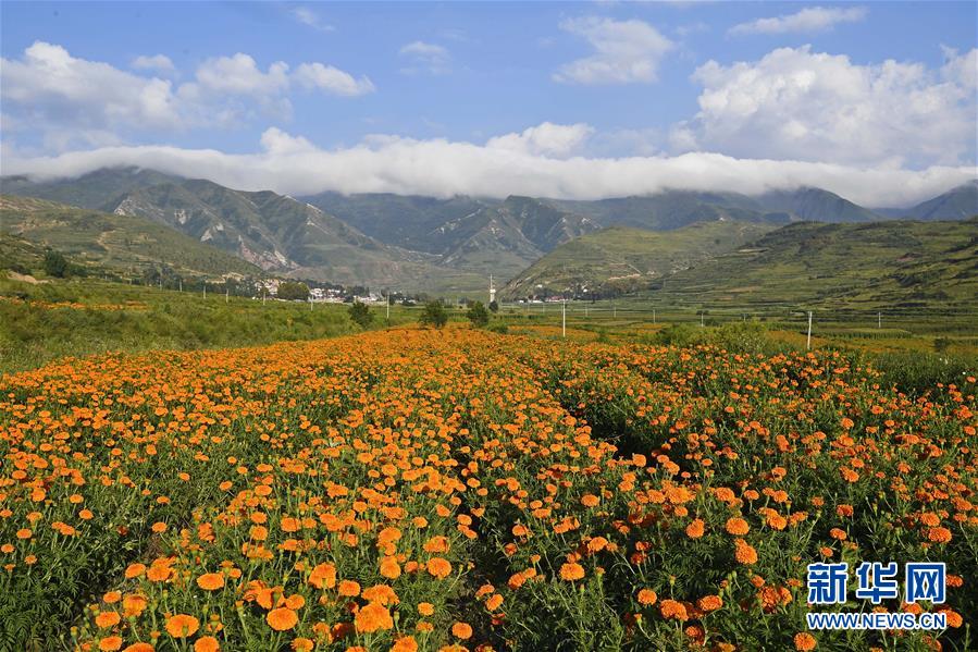 （新華全媒頭條&middot;圖文互動(dòng)）（8）中國(guó)扶貧的西海固答卷&mdash;&mdash;寧夏奮進(jìn)60年巡禮之脫貧攻堅(jiān)篇