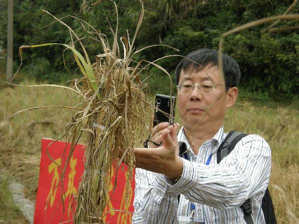 農(nóng)民豐收節(jié)：農(nóng)作物中的中華文化&ldquo;密碼&rdquo;