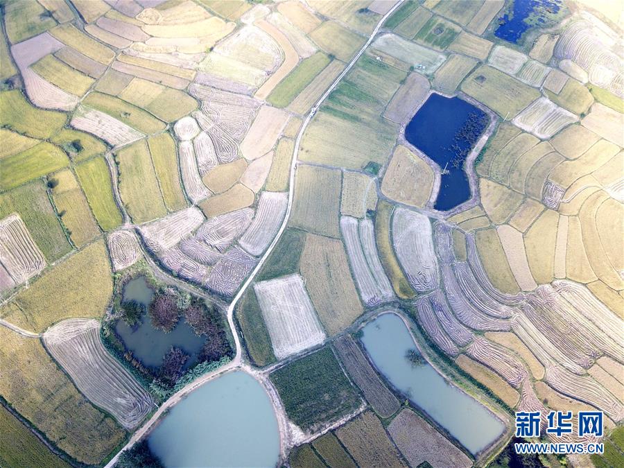 （新華全媒頭條&middot;壯闊東方潮　奮進(jìn)新時代&mdash;&mdash;慶祝改革開放40年&middot;圖文互動）（2）小崗，與時代同行&mdash;&mdash;&ldquo;中國農(nóng)村改革第一村&rdquo;40年變遷的改革啟示