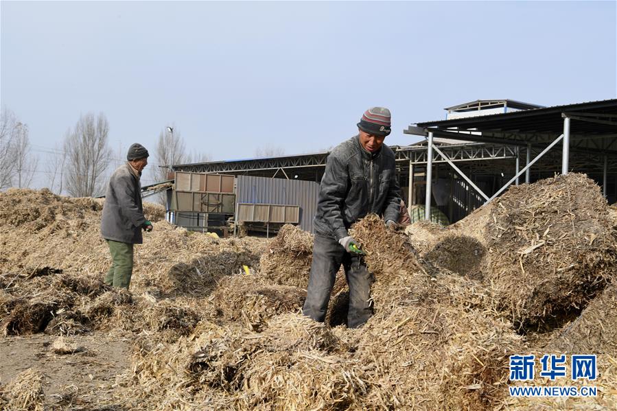 （在習近平新時代中國特色社會主義思想指引下&mdash;&mdash;新時代新氣象新作為&middot;鄉(xiāng)村振興戰(zhàn)略&middot;圖文互動）（2）&ldquo;與其放火，不如打包&rdquo;&mdash;&mdash;山西渾源秸稈綜合再利用見聞