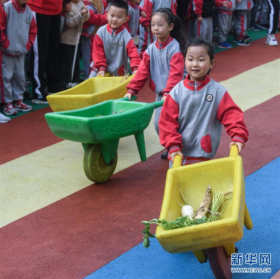 （教育）（2）校園趣味運動&mdash;&mdash;&ldquo;秋冬運糧忙&rdquo;