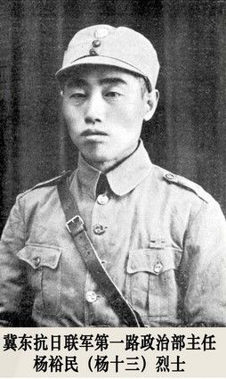 （為了民族復(fù)興&middot;英雄烈士譜&middot;圖文互動(dòng)）抗日愛國知識分子的典范&mdash;&mdash;楊裕民