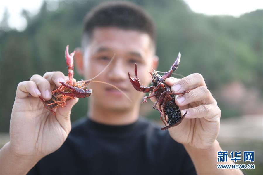 （在習近平新時代中國特色社會主義思想指引下&middot;慶祝改革開放40周年&middot;綠色發(fā)展&middot;圖文互動）（2）吹盡狂沙始到金&mdash;&mdash;綠色發(fā)展之&ldquo;金&rdquo;的故事