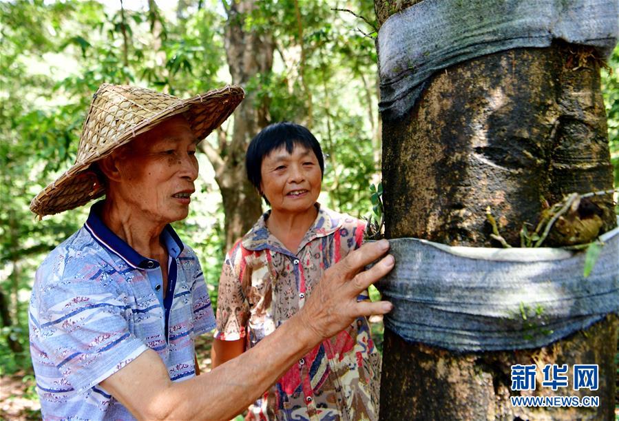 （新華全媒頭條&middot;壯闊歷程40年系列述評(píng)&middot;圖文互動(dòng)）（2）風(fēng)雨砥礪 壯麗史詩(shī)&mdash;&mdash;從改革開(kāi)放40年看中國(guó)奇跡