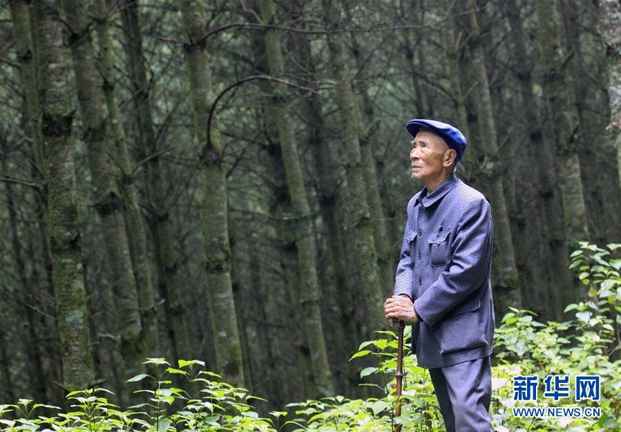 （改革先鋒風(fēng)采&middot;圖文互動）（1）楊善洲：綠了荒山造福百姓的&ldquo;草鞋書記&rdquo;