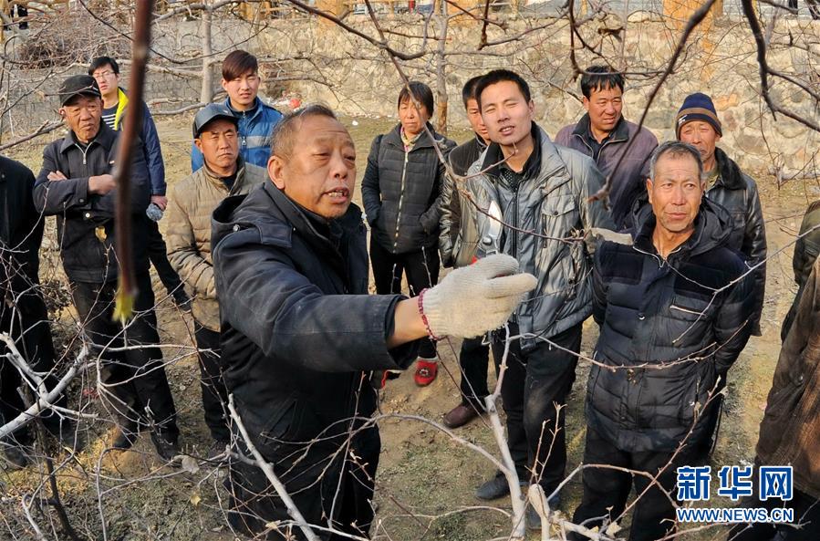 （改革先鋒風(fēng)采&middot;圖文互動(dòng)）（2）李保國(guó)：開創(chuàng)山區(qū)扶貧新路的&ldquo;太行山愚公&rdquo;