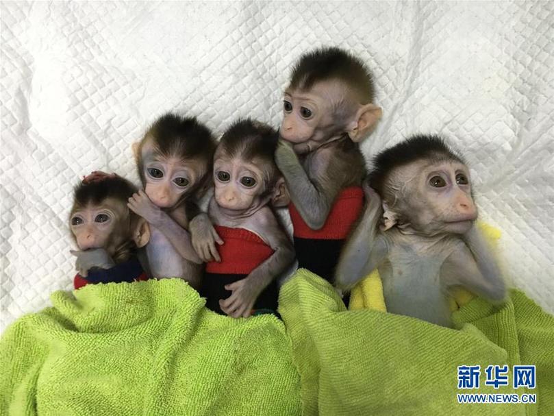 （新華全媒頭條&middot;兩會前夕看落實&middot;圖文互動）（5）改革風(fēng)帆勁 創(chuàng)新逐浪高&mdash;&mdash;上海落實習(xí)近平總書記全國兩會重要講話精神紀(jì)實