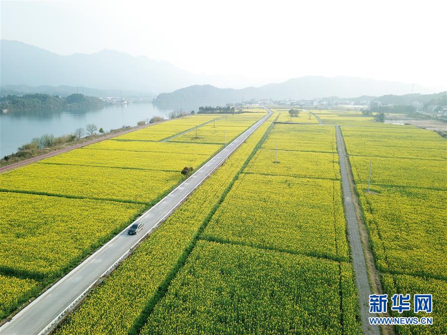 （新華全媒頭條&middot;兩會精神看落實&middot;圖文互動）（4）保持戰(zhàn)略定力 跨越重要關口&mdash;&mdash;落實兩會精神加強生態(tài)文明建設述評