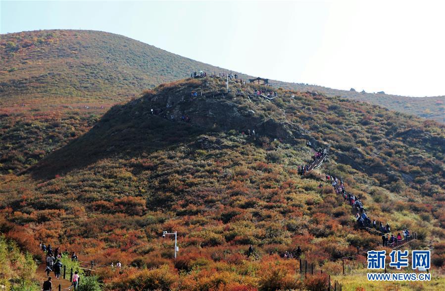 （城市綠道建設(shè)&middot;圖文互動(dòng)）（2）青城登山步道：踏遍青山享美景 生態(tài)綠道助脫貧