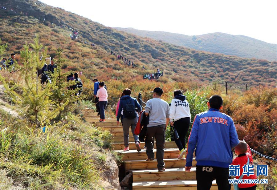（城市綠道建設(shè)&middot;圖文互動(dòng)）（5）青城登山步道：踏遍青山享美景 生態(tài)綠道助脫貧