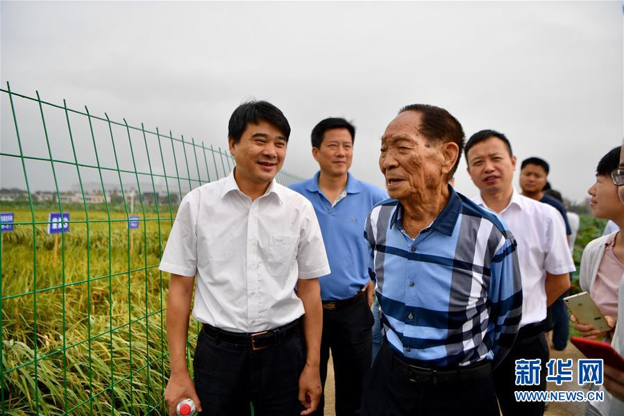 （愛國情 奮斗者&middot;圖文互動）（1）一顆稻谷里的愛國情懷&mdash;&mdash;記&ldquo;雜交水稻之父&rdquo;袁隆平