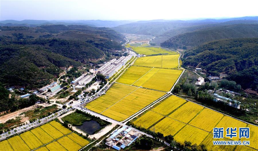 （新華全媒頭條&middot;圖文互動(dòng)）（8）春暉沐浴寶塔山&mdash;&mdash;寫(xiě)在延安各縣整體脫貧摘帽之際