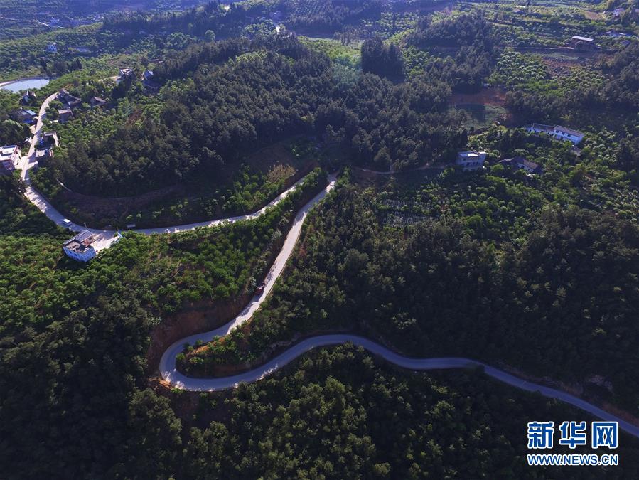 （在習(xí)近平新時代中國特色社會主義思想指引下&mdash;&mdash;新時代新作為新篇章）（13）重慶巫山：&ldquo;生態(tài)寶貝&rdquo;變身&ldquo;搖錢樹&rdquo;