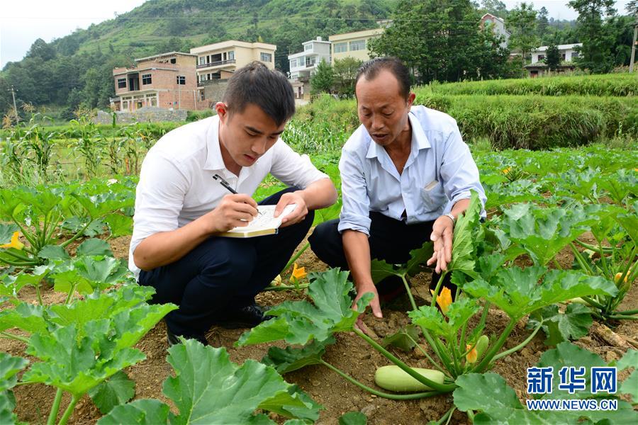 （新華全媒頭條&middot;圖文互動(dòng)）（3）咱們村里的年輕人&mdash;&mdash;記奮戰(zhàn)在貴州脫貧攻堅(jiān)一線的青年