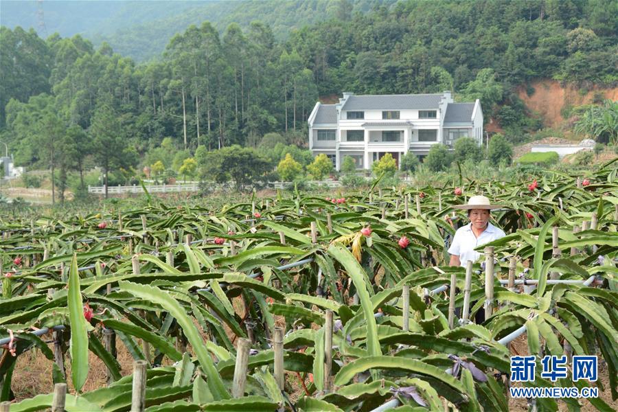 （在習近平新時代中國特色社會主義思想指引下&mdash;&mdash;新時代新作為新篇章&middot;總書記關心的百姓身邊事&middot;圖文互動）（6）大污染變身&ldquo;大寶藏&rdquo;：治理畜禽糞污，他們這樣干！