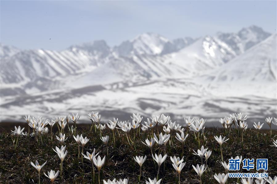 （北京世園會）（11）生態(tài)中國&middot;壯美山河瞰新疆