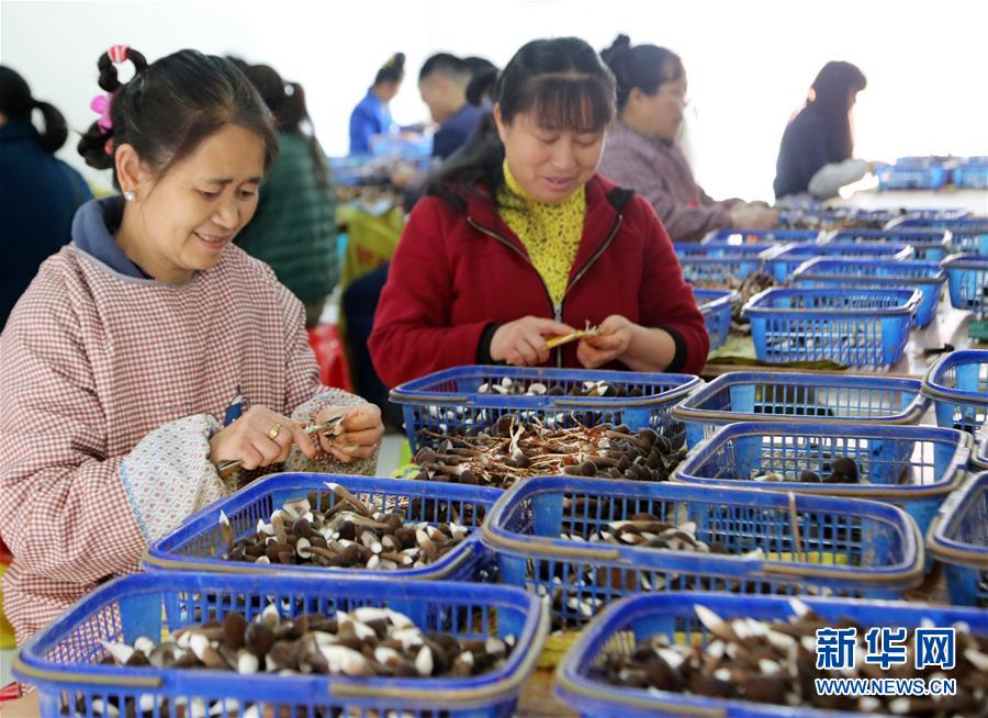 （新華全媒頭條&middot;自信中國&middot;70年啟示錄&middot;圖文互動）（6）初心不改為人民&mdash;&mdash;從壯闊70年看中國情懷