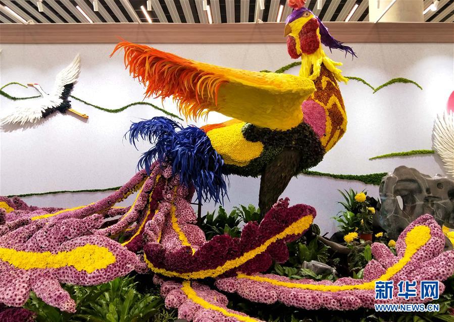 （圖文互動(dòng)）（3）上千個(gè)中外菊花參賽作品亮相北京世園會(huì)