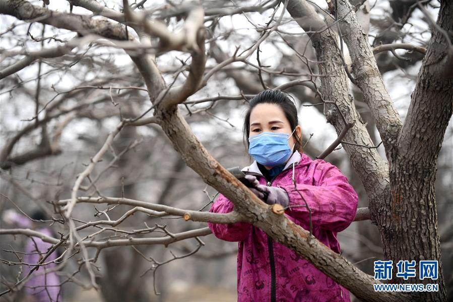 （聚焦疫情防控&middot;圖文互動）（2）農(nóng)民工返城：幾多憧憬幾許等待&mdash;&mdash;走進(jìn)疫情下的河北勞務(wù)輸出專業(yè)村