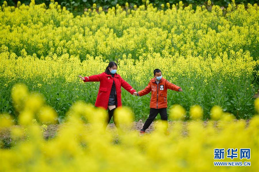（決戰(zhàn)決勝脫貧攻堅(jiān)&middot;圖文互動(dòng)）（4）特寫：疫情下的一堂特殊送教上門課